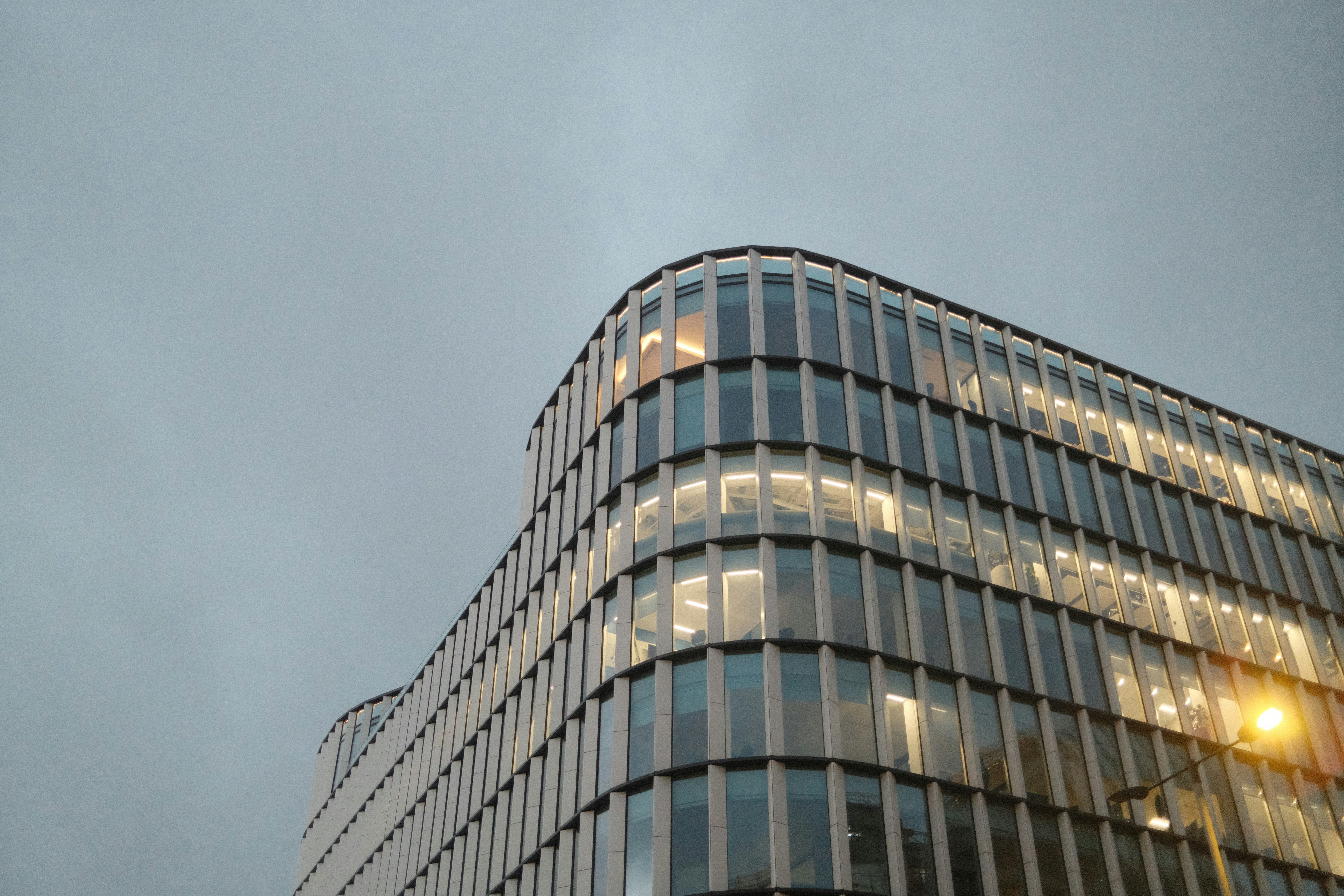 Professional service